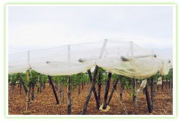 Bird Net,Aviary Nets